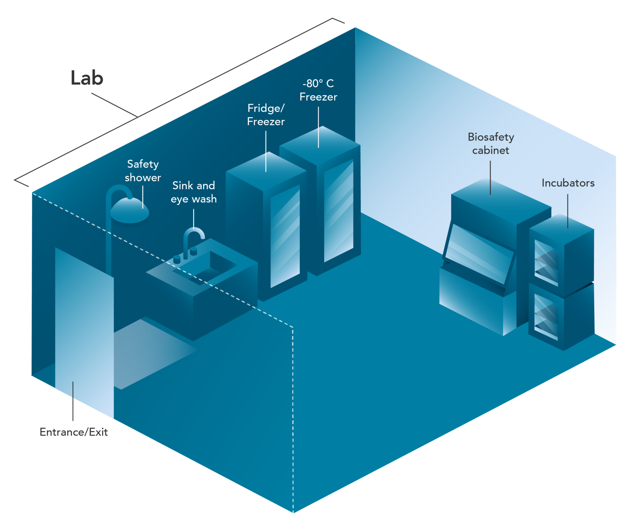 Bsl 1.12 2. Floor Plan Biosafety Lab Design. GMP Biosafety Layout.